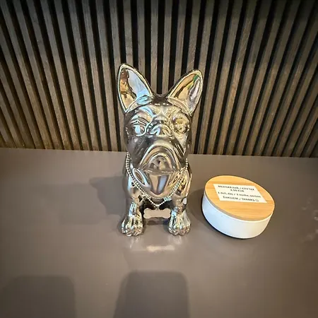 Apartman Smart Lux 7 Bajzova - Centrum, Ac 2x Kassa